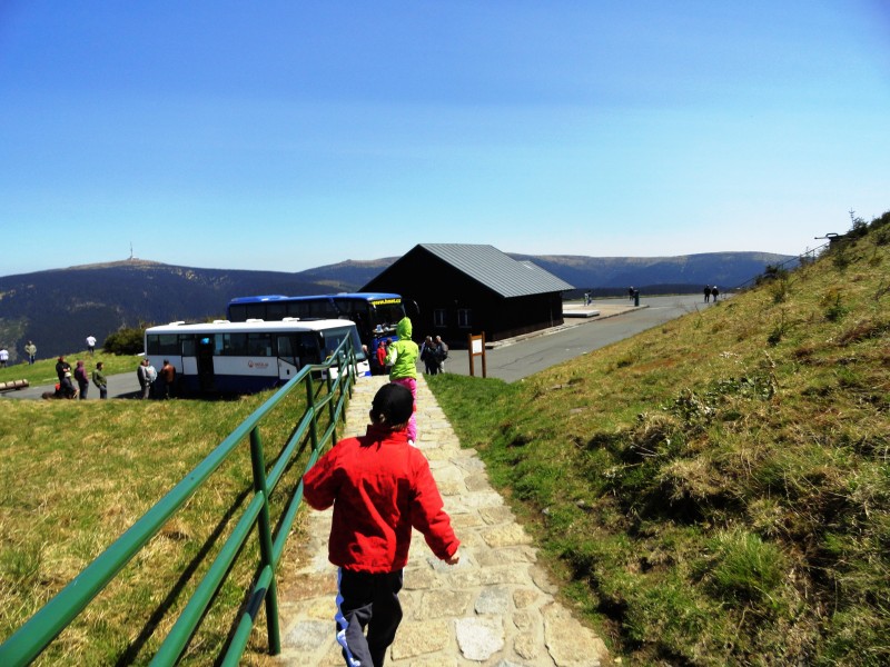 DS2012 187.jpg